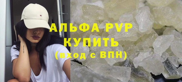 прущие грибы Абдулино