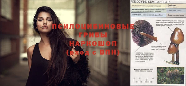 прущие грибы Абдулино