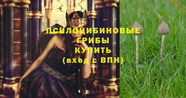 первитин Абаза