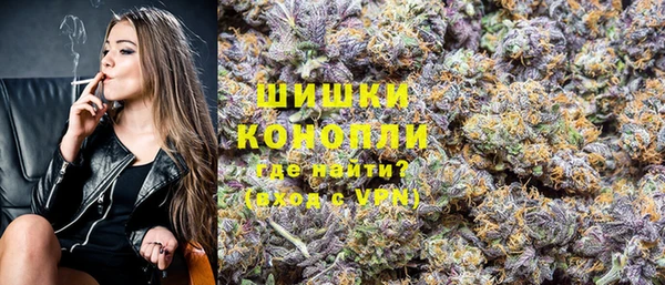 прущие грибы Абдулино