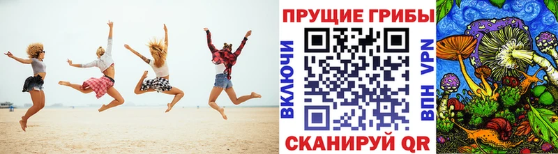 Псилоцибиновые грибы ЛСД  ссылка на мегу как зайти  Тарко-Сале  где купить наркоту 